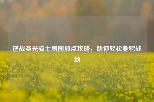 逆战圣光骑士刷图加点攻略,助你轻松驰骋战场