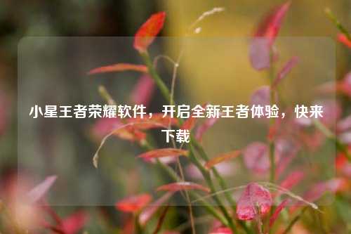 小星王者荣耀软件，开启全新王者体验，快来下载
