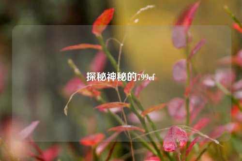 探秘神秘的799cf
