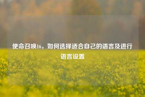 使命召唤16,如何选择适合自己的语言及进行语言设置