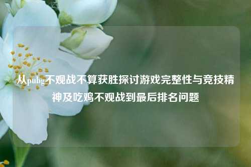 从pubg不观战不算获胜探讨游戏完整性与竞技精神及吃鸡不观战到最后排名问题