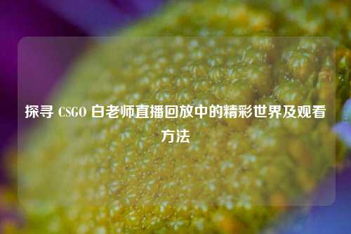 探寻 CSGO 白老师直播回放中的精彩世界及观看方法