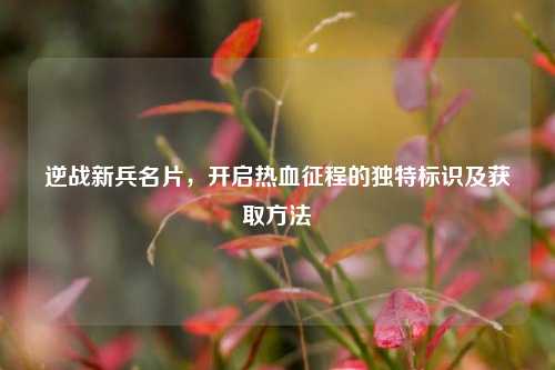 逆战新兵名片，开启热血征程的独特标识及获取方法