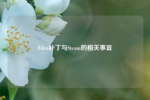 Eden补丁与Steam的相关事宜