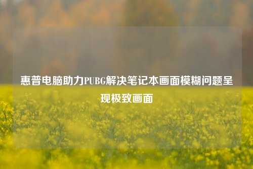 惠普电脑助力PUBG解决笔记本画面模糊问题呈现极致画面