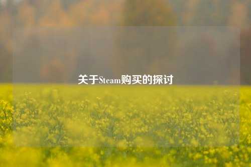 关于Steam购买的探讨
