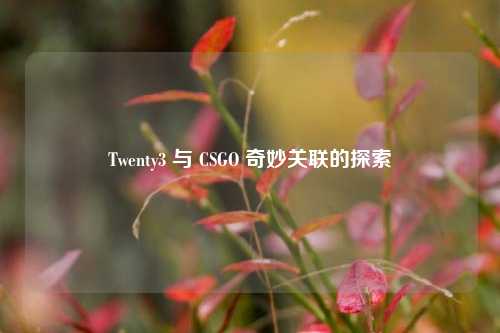 Twenty3 与 CSGO 奇妙关联的探索