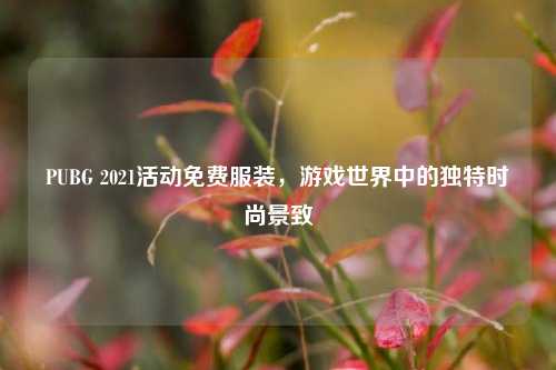 PUBG 2021活动免费服装，游戏世界中的独特时尚景致