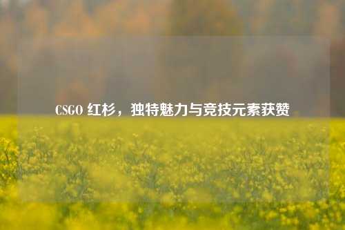 CSGO 红杉，独特魅力与竞技元素获赞