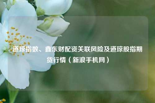 道琼指数、鑫东财配资关联风险及道琼股指期货行情（新浪手机网）