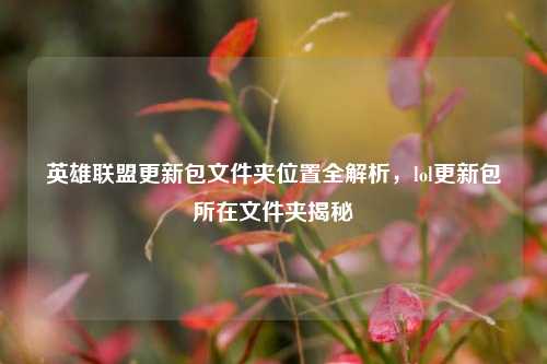 英雄联盟更新包文件夹位置全解析，lol更新包所在文件夹揭秘