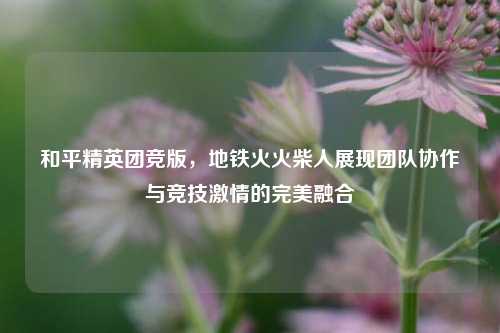 和平精英团竞版,地铁火火柴人展现团队协作与竞技激情的完美融合