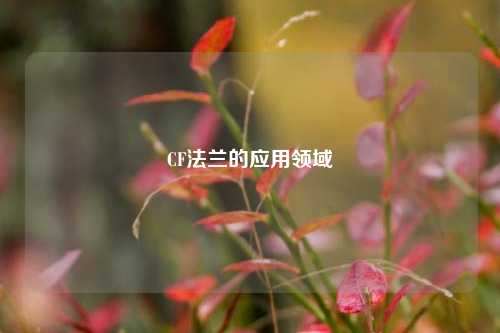 CF法兰的应用领域