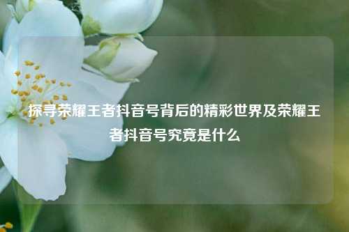 探寻荣耀王者抖音号背后的精彩世界及荣耀王者抖音号究竟是什么