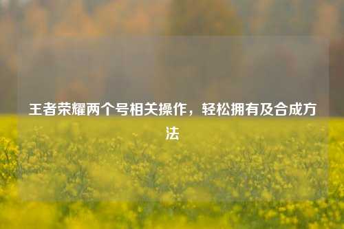王者荣耀两个号相关操作,轻松拥有及合成方法