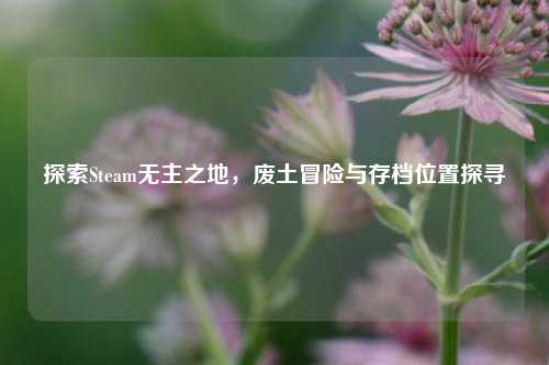 探索Steam无主之地，废土冒险与存档位置探寻