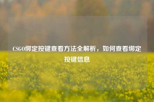 CSGO绑定按键查看方法全解析,如何查看绑定按键信息