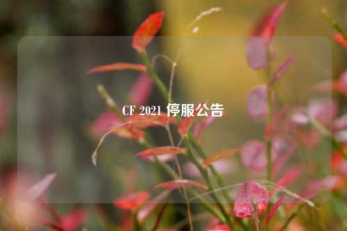 CF 2021 停服公告