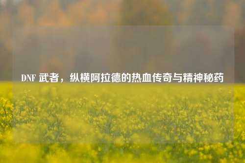 DNF 武者，纵横阿拉德的热血传奇与精神秘药