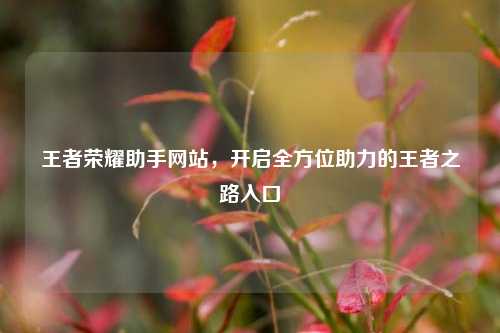 王者荣耀助手网站,开启全方位助力的王者之路入口