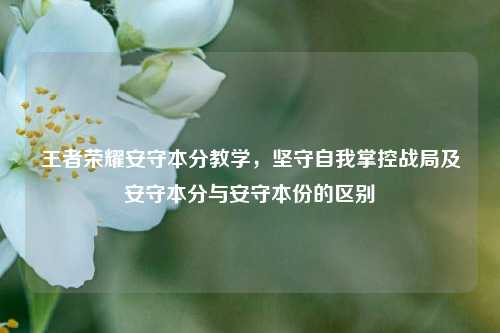 王者荣耀安守本分教学，坚守自我掌控战局及安守本分与安守本份的区别