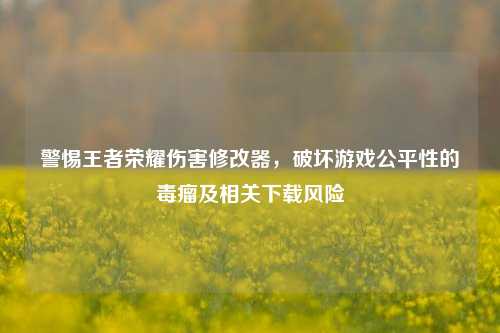 警惕王者荣耀伤害修改器,破坏游戏公平性的毒瘤及相关下载风险