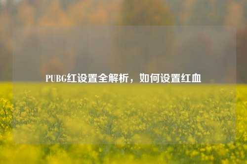 PUBG红设置全解析，如何设置红血