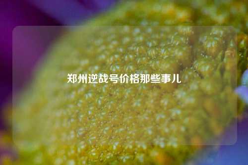 郑州逆战号价格那些事儿