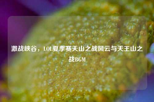 激战峡谷，LOL夏季赛天山之战风云与天王山之战BGM