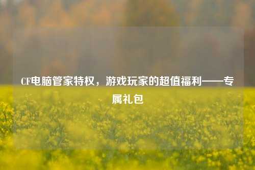 CF电脑管家特权，游戏玩家的超值福利——专属礼包