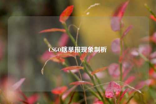 CSGO瞎举报现象剖析