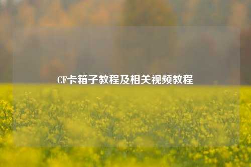 CF卡箱子教程及相关视频教程
