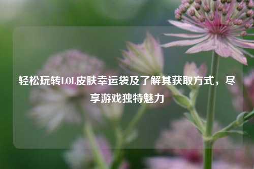 轻松玩转LOL皮肤幸运袋及了解其获取方式，尽享游戏独特魅力