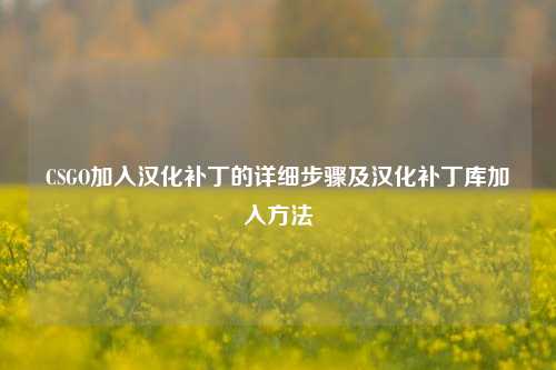 CSGO加入汉化补丁的详细步骤及汉化补丁库加入方法