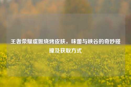 王者荣耀虞姬烧烤皮肤，味蕾与峡谷的奇妙碰撞及获取方式