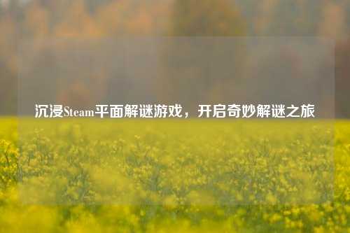 沉浸Steam平面解谜游戏，开启奇妙解谜之旅