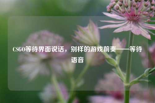 CSGO等待界面说话，别样的游戏前奏——等待语音