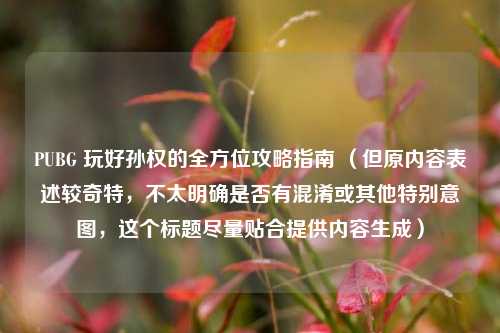 PUBG 玩好孙权的全方位攻略指南 (但原内容表述较奇特,不太明确是否有混淆或其他特别意图,这个标题尽量贴合提供内容生成)