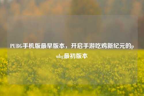 PUBG手机版最早版本,开启手游吃鸡新纪元的pubg最初版本