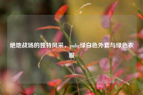 绝地战场的独特风采,pubg绿白色外套与绿色衣服