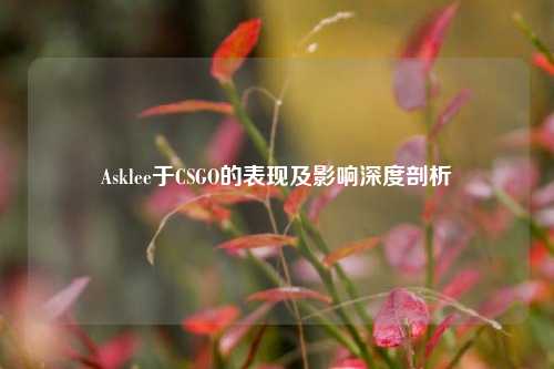 Asklee于CSGO的表现及影响深度剖析