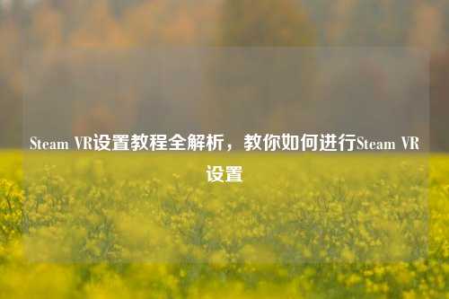 Steam VR设置教程全解析,教你如何进行Steam VR设置