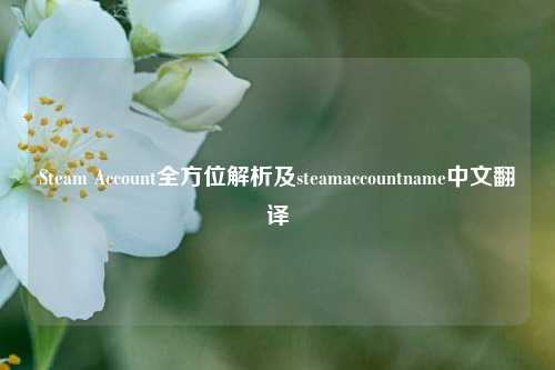 Steam Account全方位解析及steamaccountname中文翻译