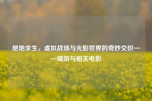 绝地求生,虚拟战场与光影世界的奇妙交织——端游与相关电影