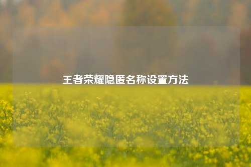 王者荣耀隐匿名称设置方法