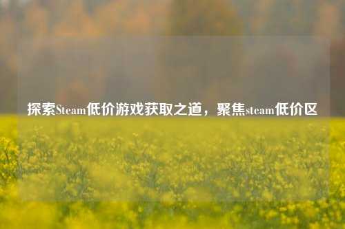 探索Steam低价游戏获取之道，聚焦steam低价区
