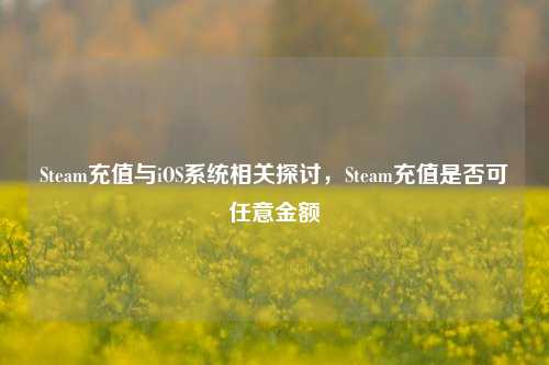 Steam充值与iOS系统相关探讨，Steam充值是否可任意金额