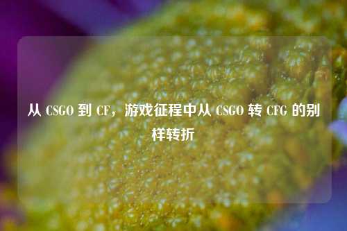 从 CSGO 到 CF，游戏征程中从 CSGO 转 CFG 的别样转折