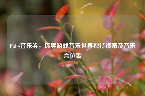 Pubg音乐券，探寻游戏音乐世界独特馈赠及音乐盒位置
