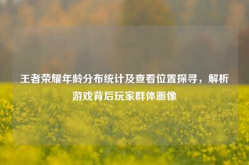 王者荣耀年龄分布统计及查看位置探寻，解析游戏背后玩家群体画像